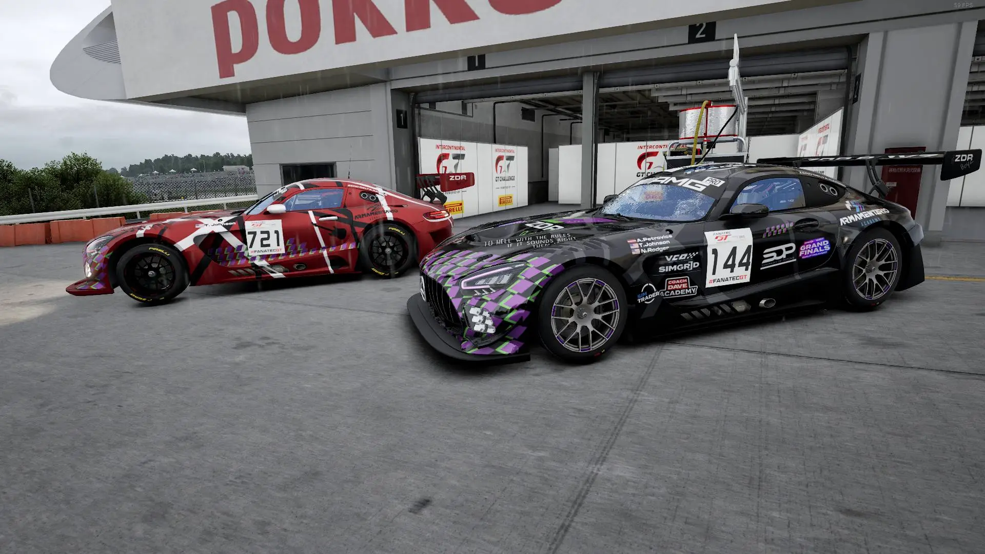 Custom liveries for ZDR team in ACC